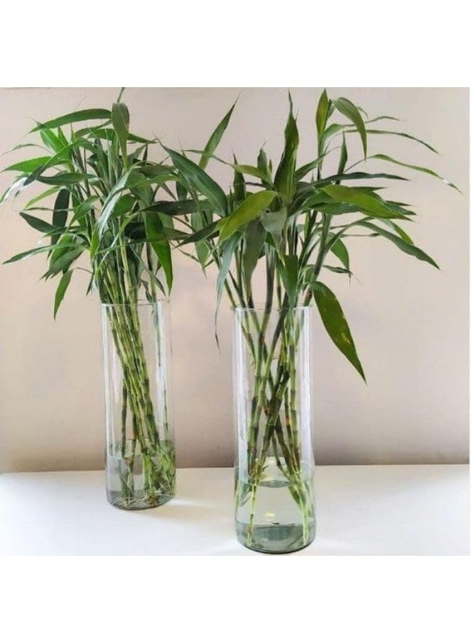 Tall Cylinder Glass Vase, Set of 2, Clear, for Flowers and Aquatic Plants, Height 40cm - Image 1